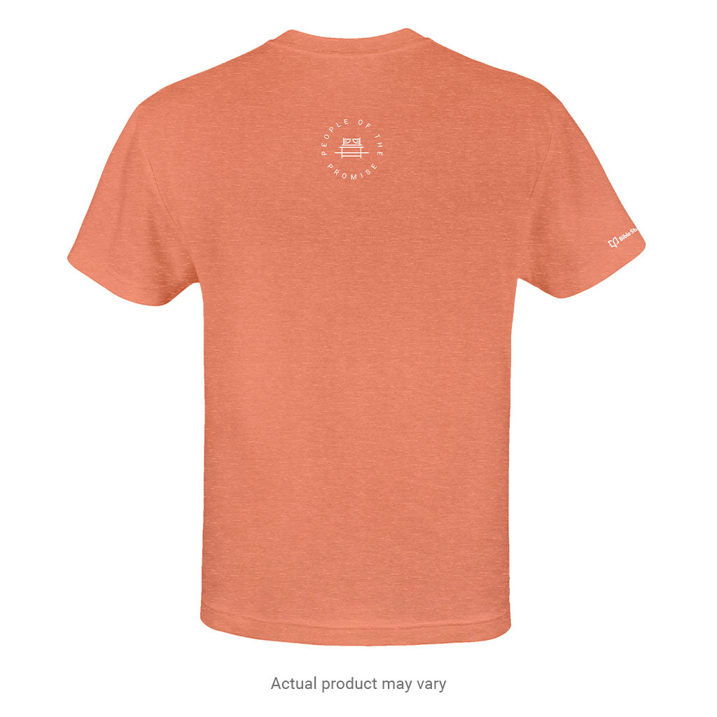 Kingdom Divided Orange